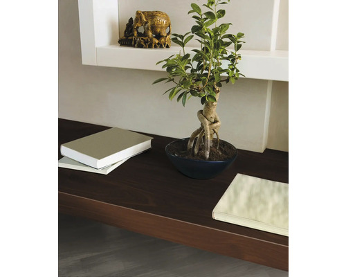 Dekoratives Regal mit Bonsai, Büchern und Elefantenstatue für Wohnraumgestaltung.