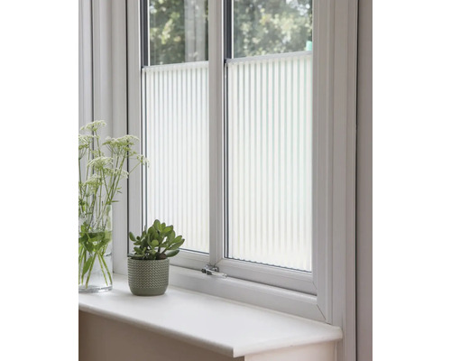 Fenster mit Plissee-Rollos, Topfpflanze und Blumen auf der Fensterbank