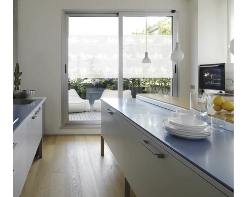 Helle Küche mit Kücheninsel, Geschirr und Blick auf die Terrasse mit Sitzsäcken