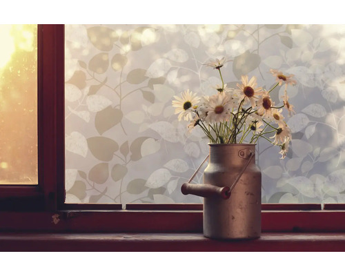 Dekorfolie mit Pflanzenmuster auf Fenster neben Blumen in Metallkanne