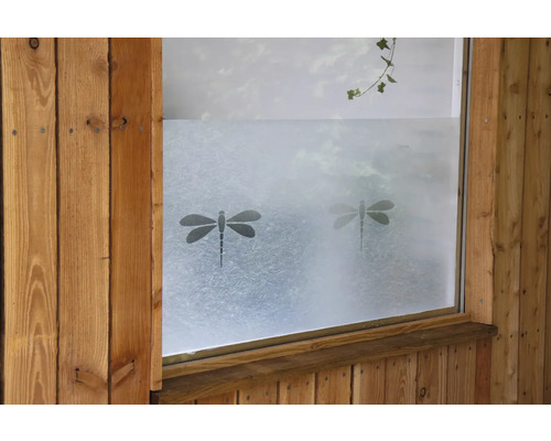 Fenster mit Milchglasfolie und Libellenmotiven