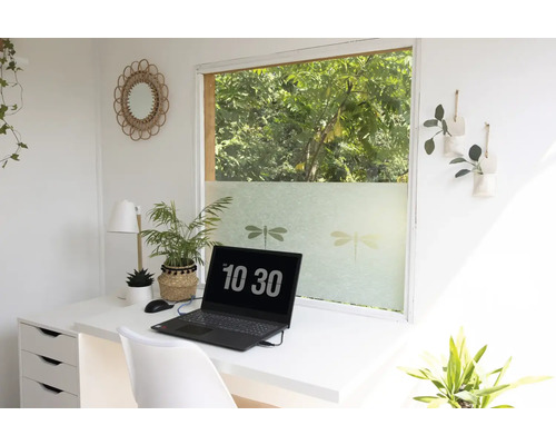 Heller Arbeitsbereich mit Schreibtisch, Laptop und Fensterfolie mit Libellenmotiven