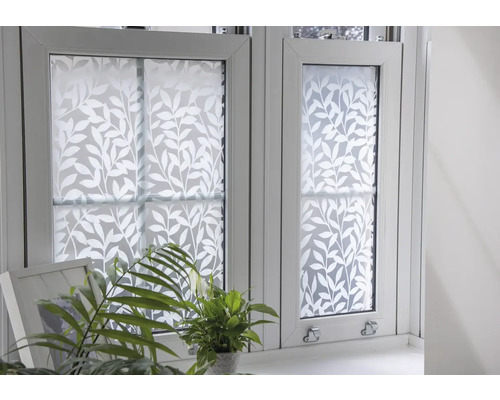 Fenster mit Fensterfolie und Pflanzen im Raum