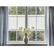 Fenster mit Doppelrollo und Blumenvase auf dem Fensterbrett