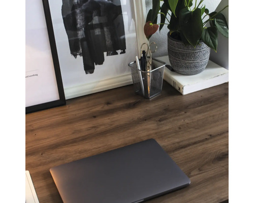 Nahaufnahme eines Schreibtisches mit Laptop, Pflanzen und Bürobedarf