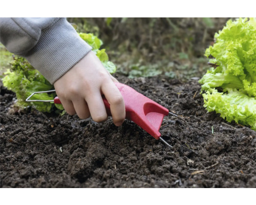 Eine Person pflanzt Setzlinge mit einem Pikierstab in die Erde.