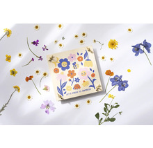 Blumenpresse mit Blumenmuster und getrockneten Blumen