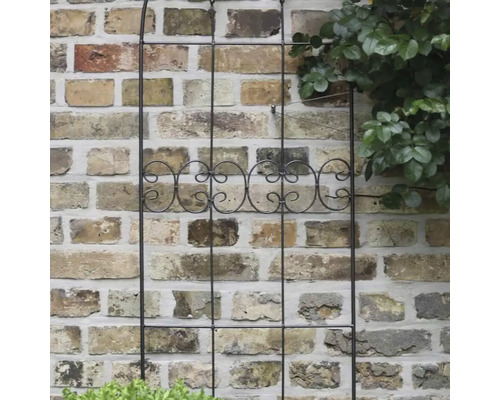Metall-Rankhilfe zur Unterstützung von Kletterpflanzen vor einer Ziegelwand