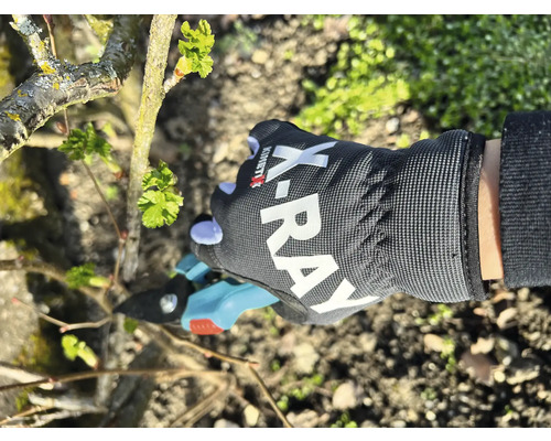 Eine Person schneidet mit einer Gartenschere einen Busch, während sie Gartenhandschuhe trägt.