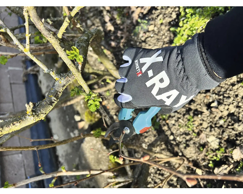 Eine Hand mit Gartenhandschuh schneidet mit einer Gartenschere einen Ast.