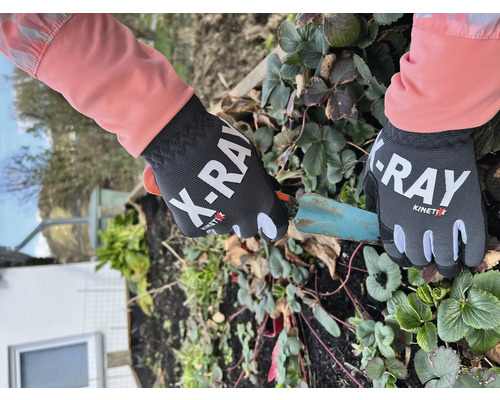 Gartenhandschuhe mit der Aufschrift X-Ray werden bei der Gartenarbeit getragen.