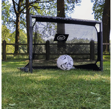 Fussballtor mit Fussball auf einer Wiese