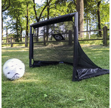 Fußballtor mit Netz und Ball auf einer Rasenfläche