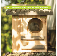 Vogelhaus aus Holz mit kleinem Treppenaufgang