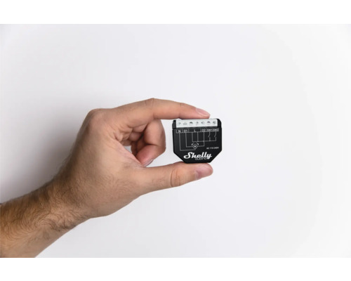 Shelly Dimmer in der Hand