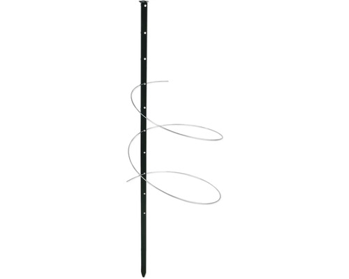 Pflanzenstab mit Wendel