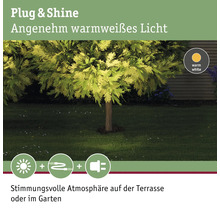 Paulmann Plug & Shine LED Bodeneinbauleuchte IP67 6W 427 lm 3000 K warmweiß Ø 140/135 mm silber schwenkbar 230/24V 1 Stück-thumb-11