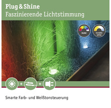 Paulmann Plug & Shine Bodeneinbauleuchte Einzelspot RGBW IP65 3,6W 200 lm 3000- 6500 K silber Zigbee - Kompatibel mit SMART HOME by hornbach