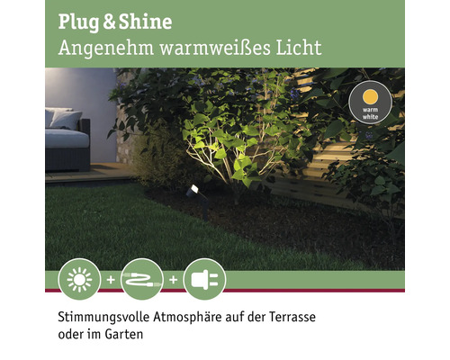 Garten mit Pflanzen und warmweißer Gartenbeleuchtung