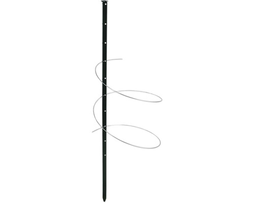 Pflanzenstab mit Rankhilfe