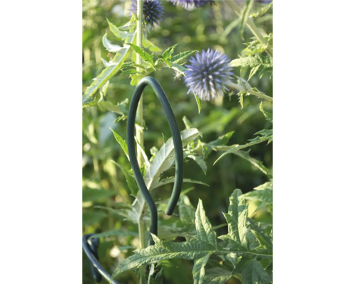Pflanzenstütze im Garten zwischen Blüten und Blättern