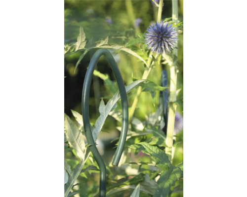 Pflanzenstütze im Garten mit blühender Pflanze