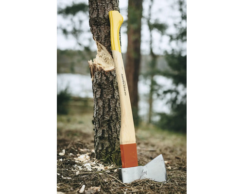 Axt zum Holzspalten an einem Baumstamm