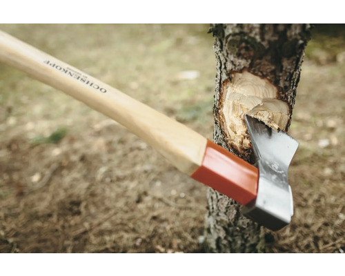 Ochsenkopf Spaltaxt im Einsatz an einem Baumstamm