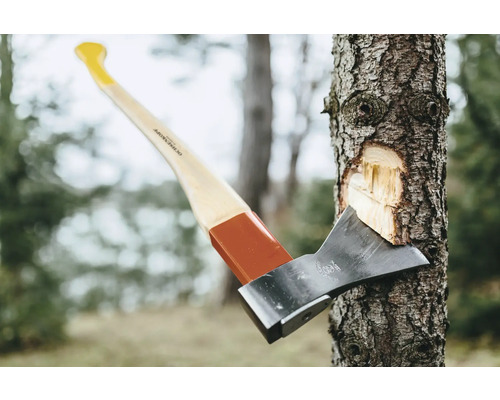 Forstaxt im Baumstamm mit Holzgriff und Axtkopf