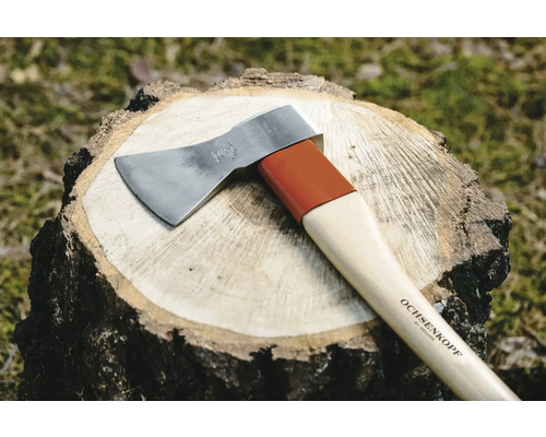 Ochsenkopf Axt auf Baumstumpf