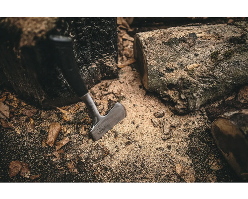 Spaltaxt und Holzstücke mit Sägemehl