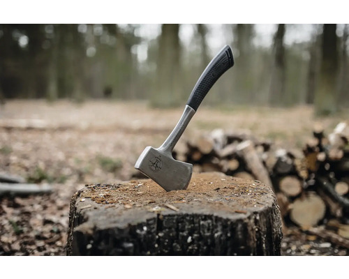 Spalthammer im Baumstumpf