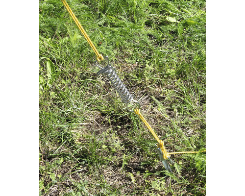 Zeltfeder mit Hering und Zeltleine im Gras