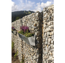 Gabionenwand mit bepflanztem Blumenkasten im Garten