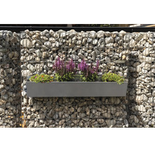 Gabionenwand mit bepflanztem Blumenkasten