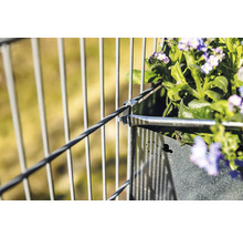 Detailaufnahme eines Balkonkastens mit Blumen, befestigt an einem Balkongeländer
