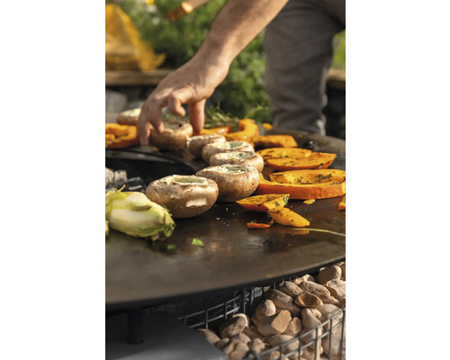 Gemüse und gefüllte Pilze auf einer Grillplatte zubereitet