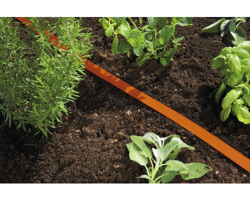Gartenbeet mit Kräutern und Bewässerungsschlauch