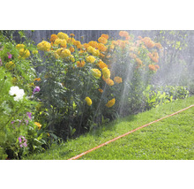 Gartenbewässerung mit Blumen und Rasen
