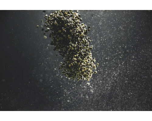 Nahaufnahme von Bio-Biosaatgut vor dunklem Hintergrund