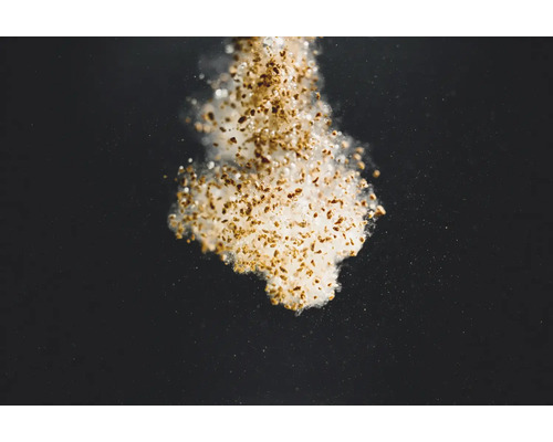 Nahaufnahme von Grassamen mit Zellstoff für die Aussaat