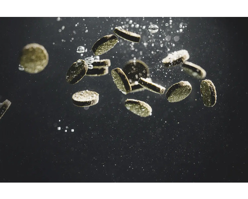 Sinkfuttertabletten für Fische im Wasser