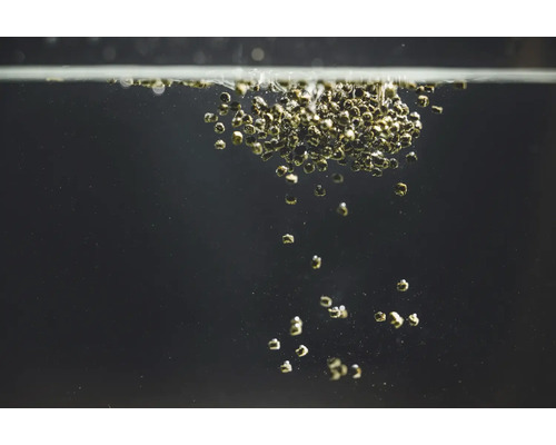 Aquarienfutter sinkt im Wasser