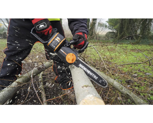 Eine Person sägt mit einer Worx Nitro Akku-Kettensäge einen Ast.