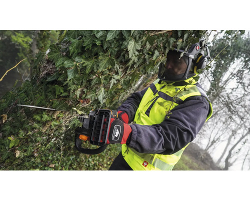 Eine Person mit Schutzausrüstung schneidet mit einer Hochentaster-Motorsäge Äste und Efeu.