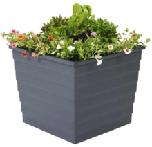 Quadratischer Pflanzkübel mit Blumen und Salat bepflanzt