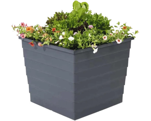 Quadratischer Pflanzkübel mit Blumen und Salat bepflanzt