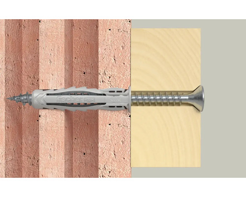 Fischer Dübel mit Schraube in einer Wand und einem Holzstück