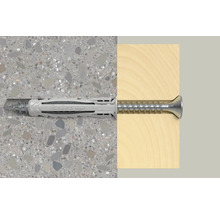 Fischer Dübel mit Schraube in Wand und Holz