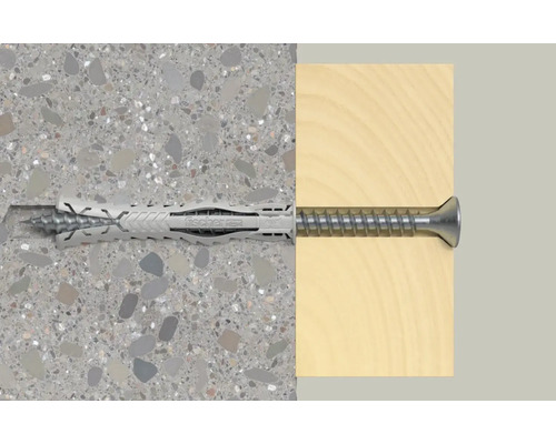 Fischer Dübel mit Schraube in Wand und Holz